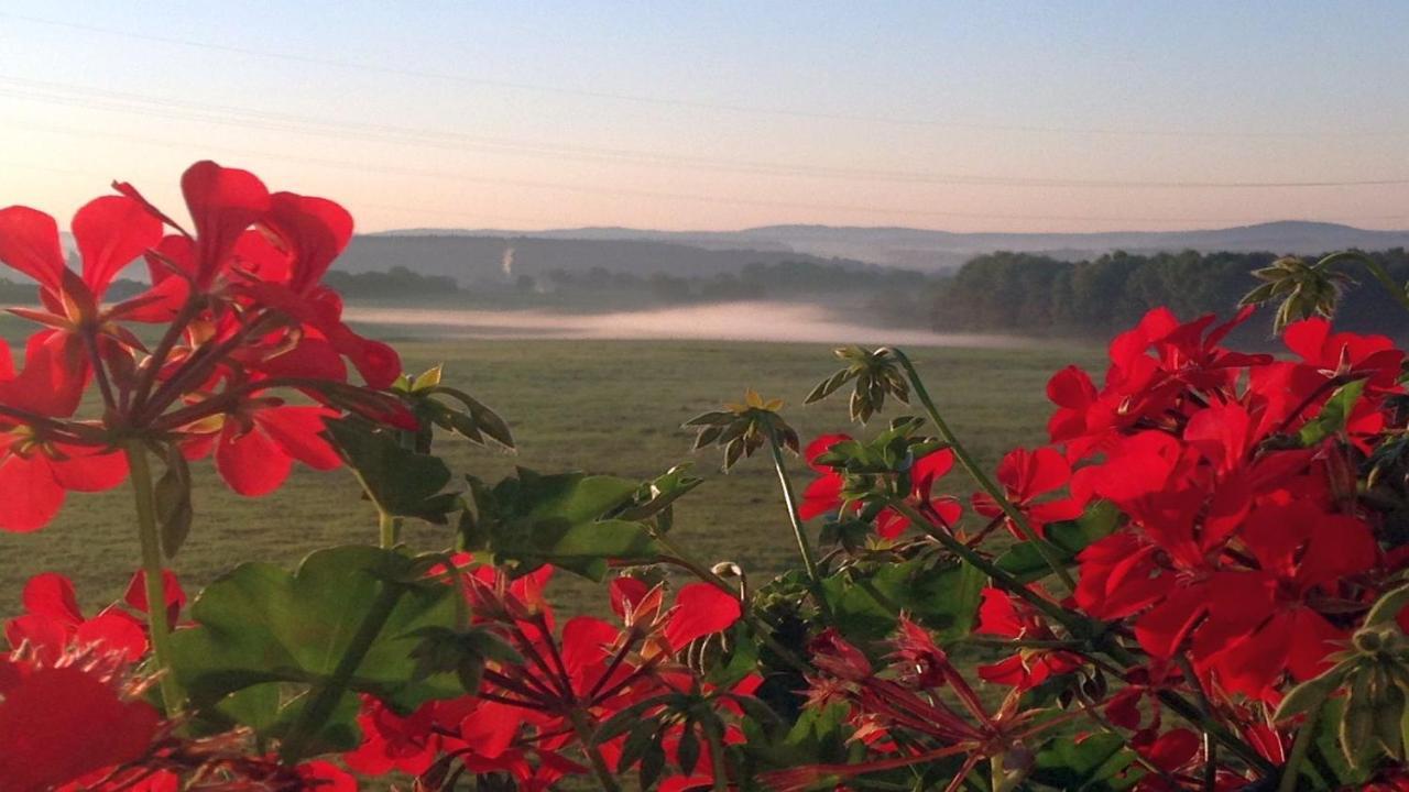 Waldhotel Dierdorf Exteriér fotografie