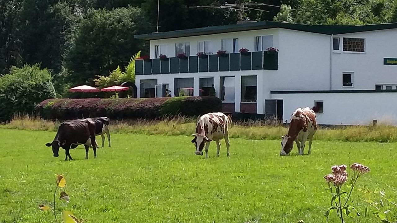 Waldhotel Dierdorf Exteriér fotografie